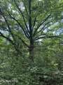 0 Thorngrove Pike - Photo 3