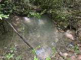 0 Thorngrove Pike - Photo 5