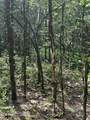 0 Thorngrove Pike - Photo 7