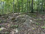 0 Thorngrove Pike - Photo 8