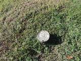 8548 Zinc Rd - Photo 14