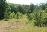 Tract 2 Nopone Valley Rd - Photo 4