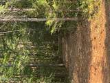  Shoal Creek Rd - Photo 53