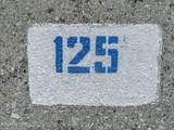 Lot 125 Highway 73 - Photo 3