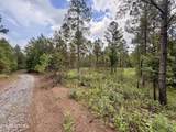  Co Rd 214 - Photo 21