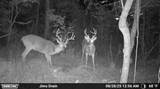  Co Rd 214 - Photo 41