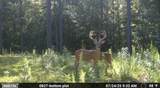  Co Rd 214 - Photo 44
