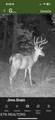  Co Rd 214 - Photo 46
