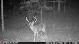  Co Rd 214 - Photo 47