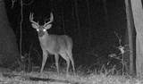  Co Rd 214 - Photo 48