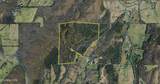  Co Rd 214 - Photo 51