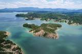  0 Douglas Lake Is - Photo 10