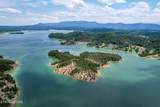  0 Douglas Lake Is - Photo 11