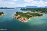  0 Douglas Lake Is - Photo 12