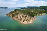  0 Douglas Lake Is - Photo 13