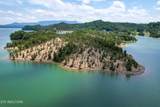  0 Douglas Lake Is - Photo 14