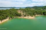  0 Douglas Lake Is - Photo 15