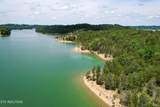  0 Douglas Lake Is - Photo 17