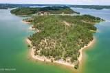  0 Douglas Lake Is - Photo 19