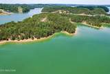  0 Douglas Lake Is - Photo 20