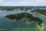  0 Douglas Lake Is - Photo 4