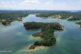  0 Douglas Lake Is - Photo 5