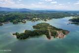  0 Douglas Lake Is - Photo 7