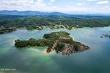  0 Douglas Lake Is - Photo 8
