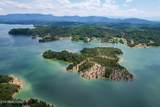  0 Douglas Lake Is - Photo 9