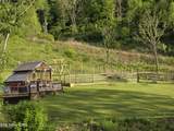 2615 Stoney Fork Rd - Photo 12