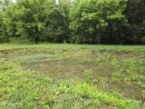 2615 Stoney Fork Rd - Photo 38