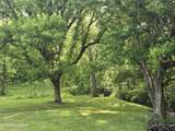 2615 Stoney Fork Rd - Photo 4