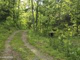 2615 Stoney Fork Rd - Photo 52