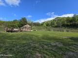 2615 Stoney Fork Rd - Photo 57