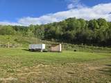 2615 Stoney Fork Rd - Photo 58