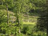 2615 Stoney Fork Rd - Photo 60