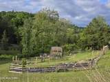 2615 Stoney Fork Rd - Photo 8