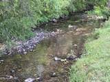 2615 Stoney Fork Rd - Photo 9