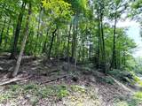  Swann Saddle - Photo 5