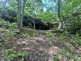 00 Bear Knob Lane - Photo 5