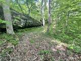 00 Bear Knob Lane - Photo 6