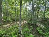 00 Bear Knob Lane - Photo 7