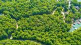  Big Creek Rd - Photo 8