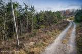 0 Martins Creek Hwy - Photo 3