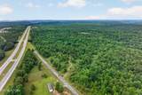 27 Acres Flatbush Lane - Photo 11