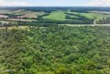 27 Acres Flatbush Lane - Photo 8