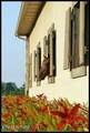 764 Wood Duck Drive - Photo 10