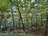 376 Norris View Drive - Photo 15