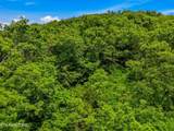 Lot 110 Eagles Ridge - Photo 10