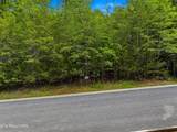 Lot 110 Eagles Ridge - Photo 3